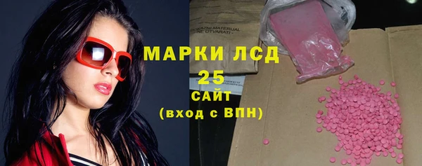 шишки Белоозёрский