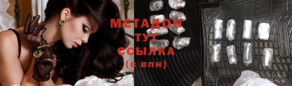 шишки Белоозёрский