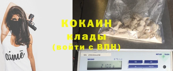 шишки Белоозёрский