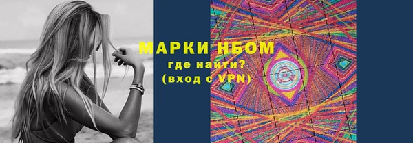 шишки Белоозёрский