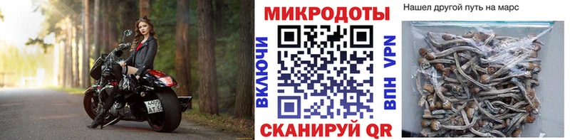 МЕГА ССЫЛКА  Славгород  Галлюциногенные грибы MAGIC MUSHROOMS 